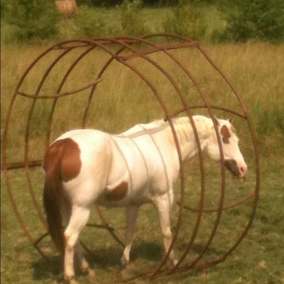 Meet your Posher, Regina - Picture 2 of 8